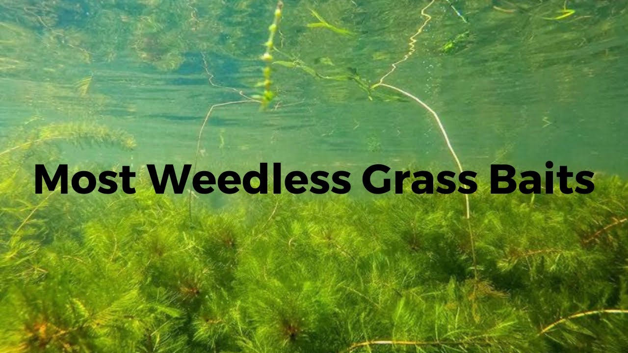 The Most Weedless Baits For Fishing Grass!