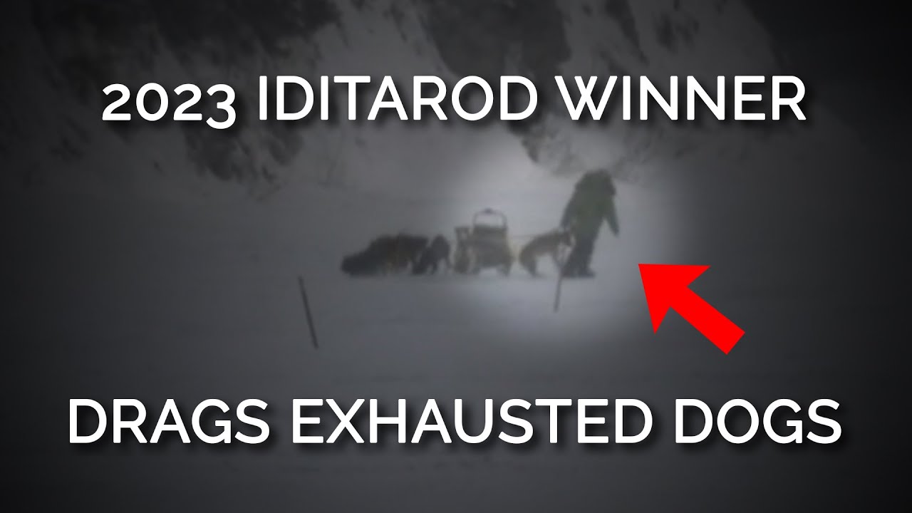 2023 Iditarod Winner Drags Exhausted Dogs