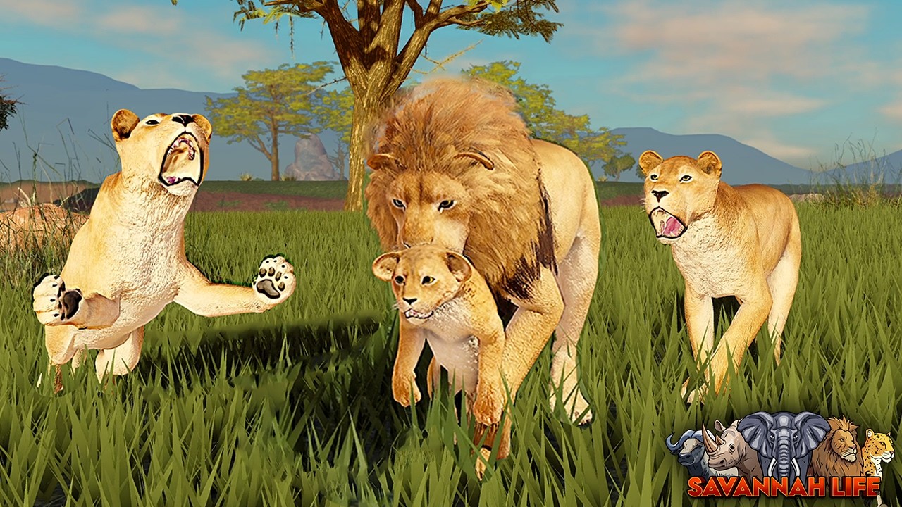 Lion Stealing Baby Lion Cubs! | ROBLOX Savannah Life