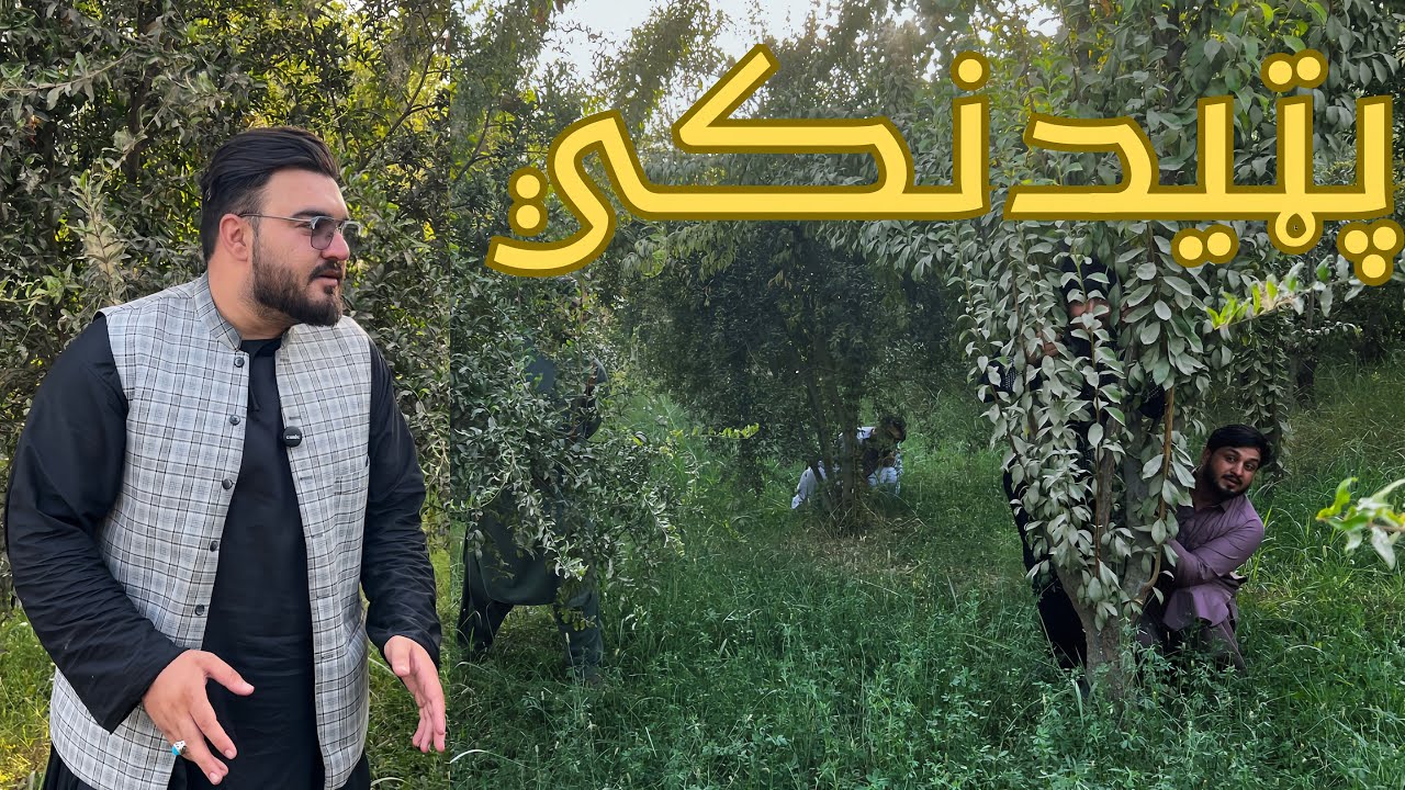 Epic hide & seek | په لوي باغ کی پټیدنکي 
