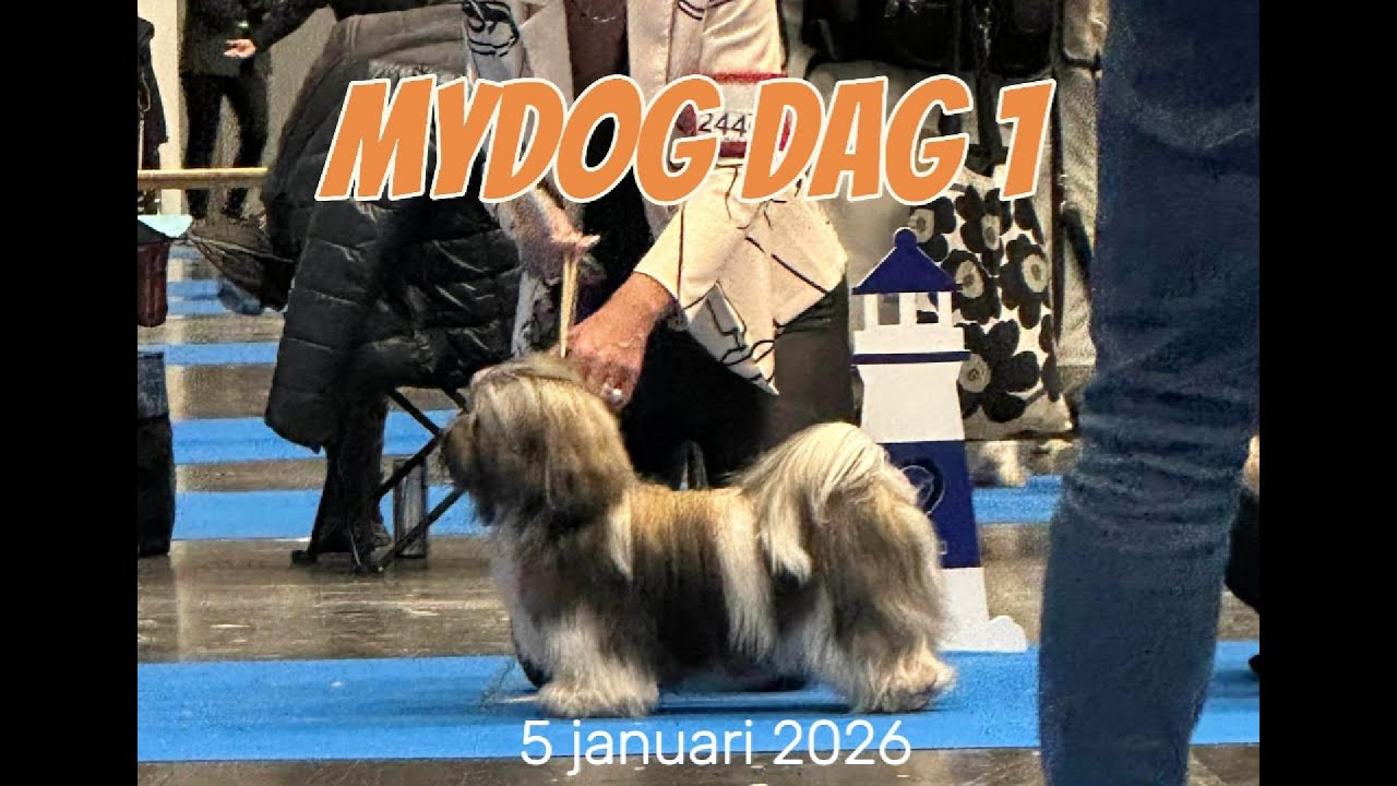 MyDog havanaisringen 2026