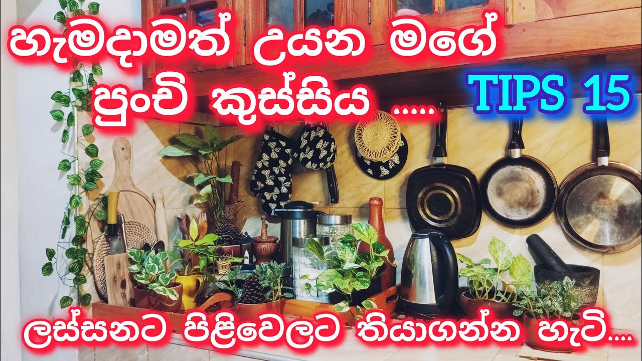 තුන්වේලටම උයන මගේ කුස්සිය හැමතිස්සෙම ලස්සනට පිළිවෙලට තියාගන්න මං කරන දේවල්😊Tiny kitchen tips💕💕💕💕