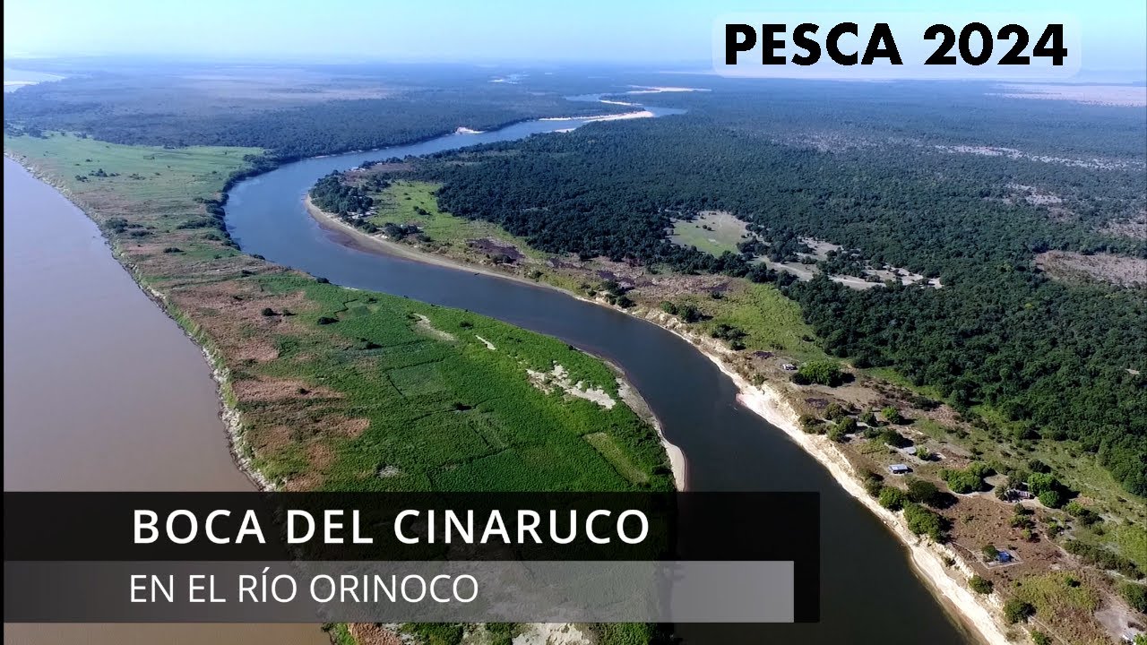 Ventanas del Cinaruco 2024. Otro año de buena pesca, buen grupo y excelente sitio. La desembocadura.
