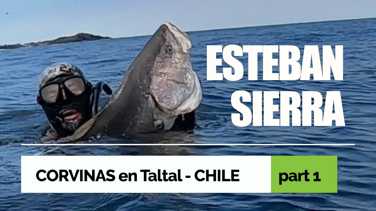 CORVINAS EN CHILE CON ESTEBAN SIERRA Y LORENZO ALEJANDRO
