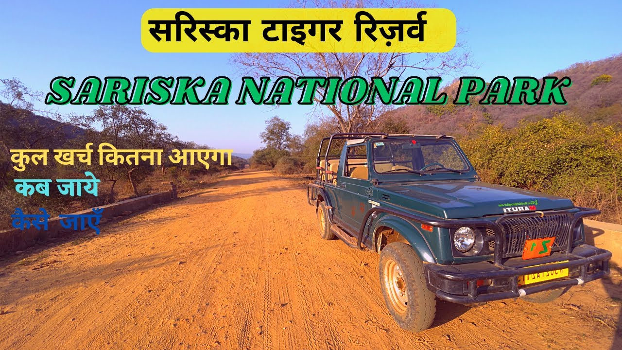 सरिस्का टाइगर रिज़र्व ! Sariska National Park Alwar ! Jungle Safari ! @moreandexplore