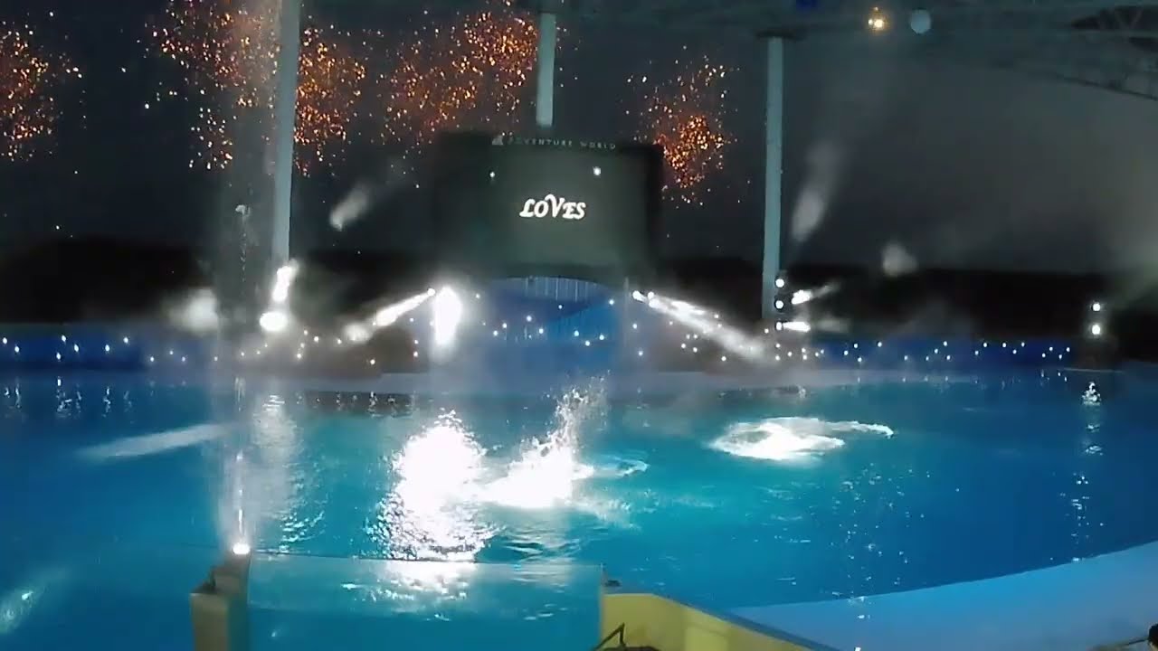 2025 .5.3 白浜アドベンチャーワールド　ナイトマリンライブ　LOVES