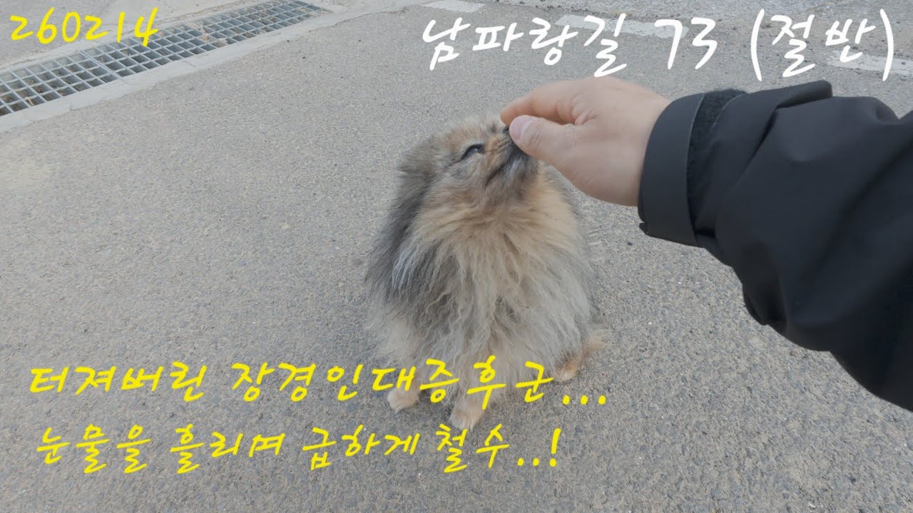 남파랑길 73코스 절반ㅣ장경인대증후군...집에가자 족저근막염은 쩁도안된다