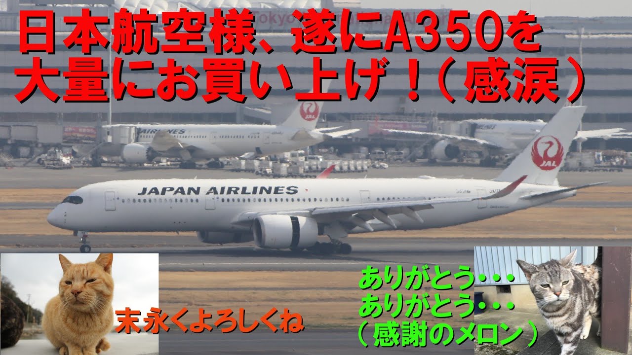 【ついに山が動いた】エアバスはどうやって日本市場を開拓したのか　最終話・鶴丸がエアバスを買った日
