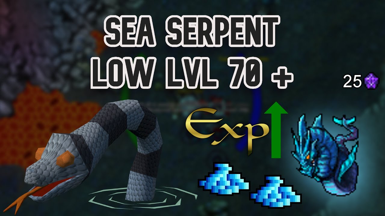 Exp & Profit // Sea Serpent  // Zonas de hunt // Low lvl +70