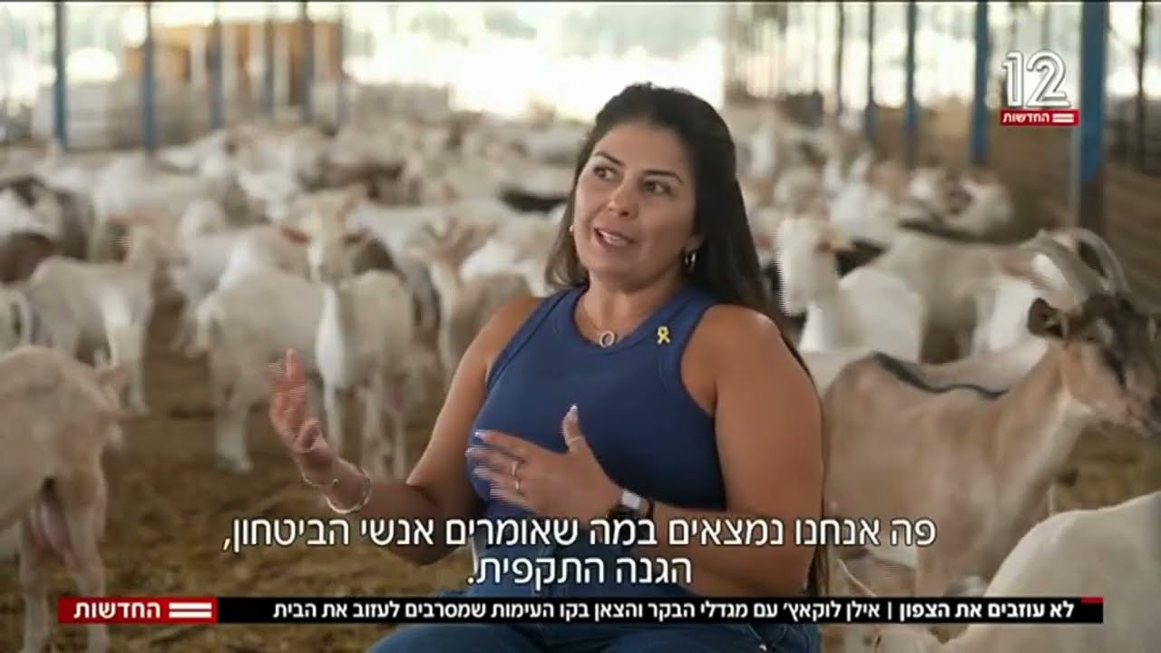 לא עוזבים את הצפון