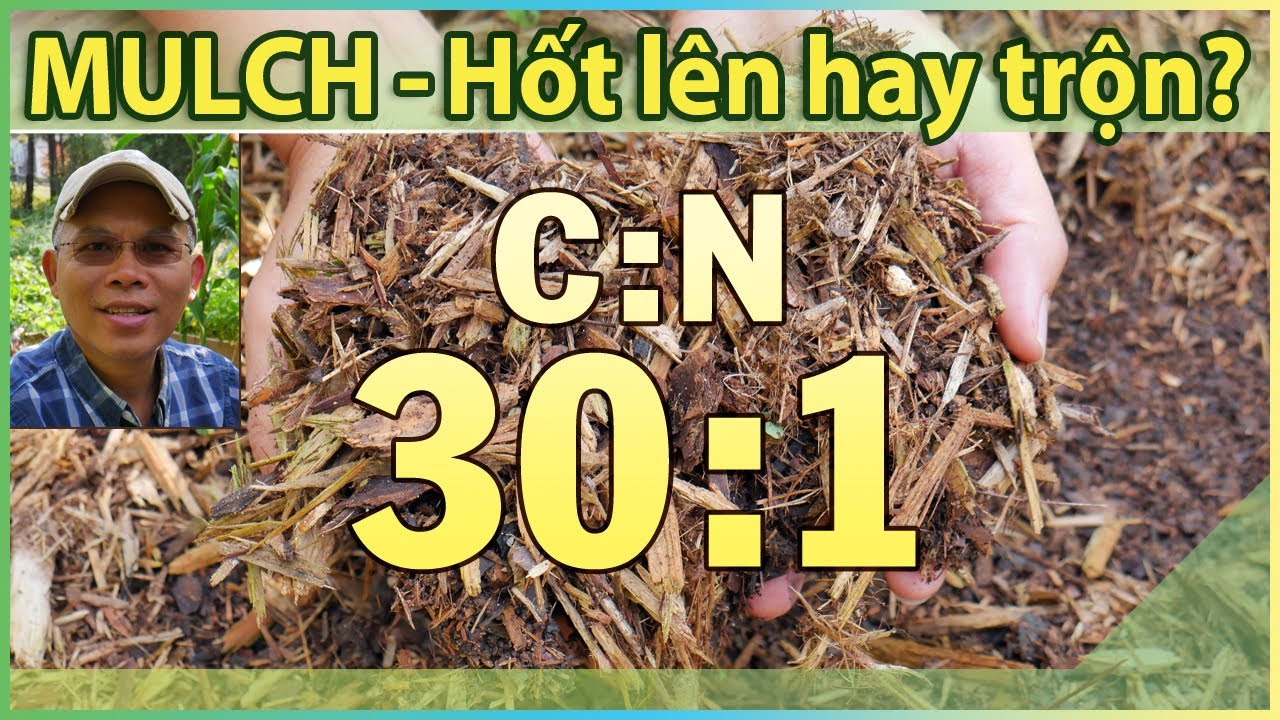 Mulch – sau mùa trồng rau phải hốt lên hay trộn vào đất luôn?