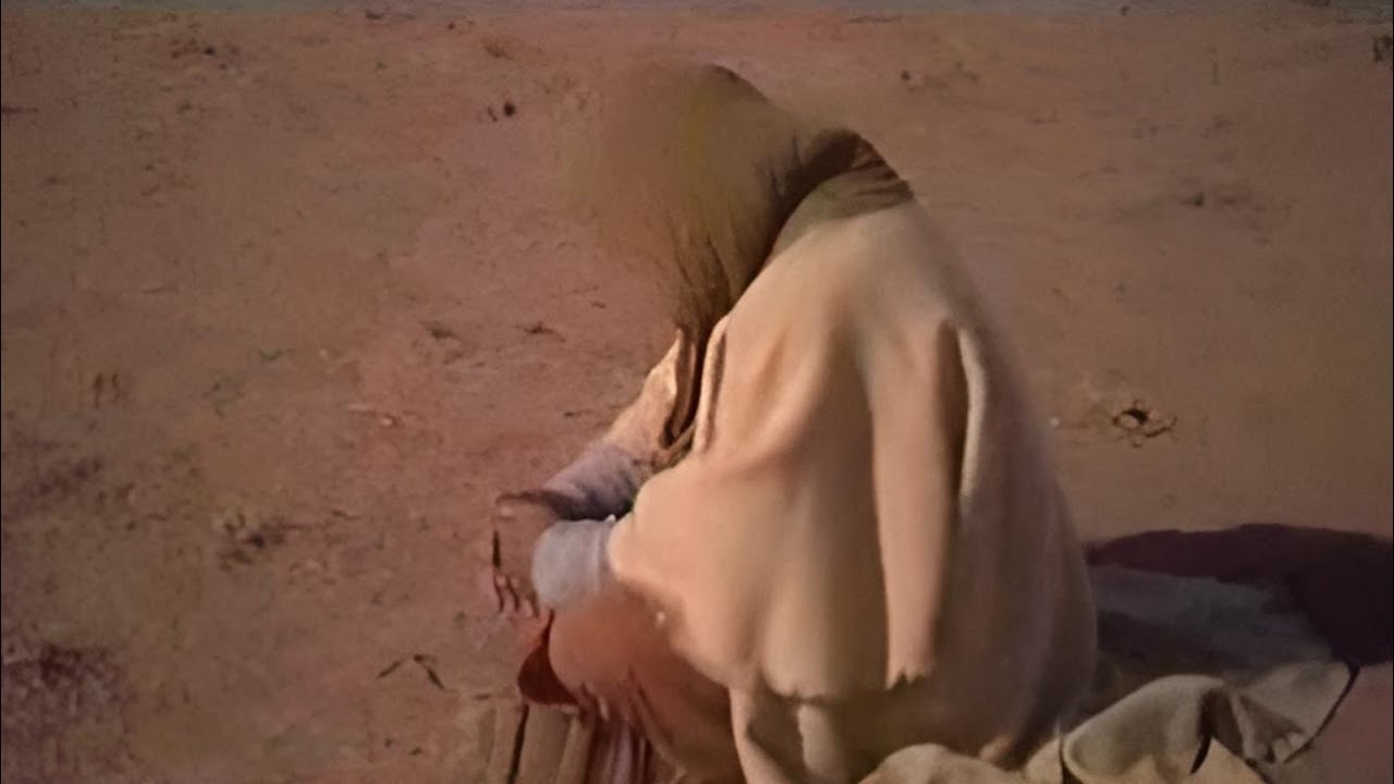 غربة الامام علي بن ابي طالب (ع) بعد استشهاد الزهراء (ع)