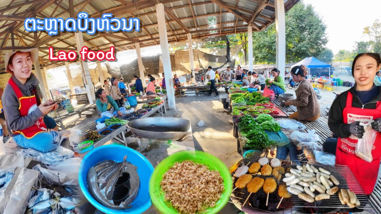 ຕະຫຼາດບຶງຫົວນາ ປາຄໍ່ໃຫຍ່ ອາຫານທຳມະຊາດ 2026 || ตลาดบึงหัวนา ของป่า อาหารลาว, เมืองเชบั้งไฟ