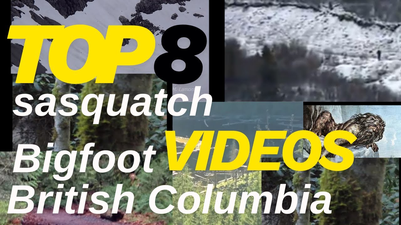 Top 8  Sasquatch/Bigfoot VIDEOS from British Columbia 