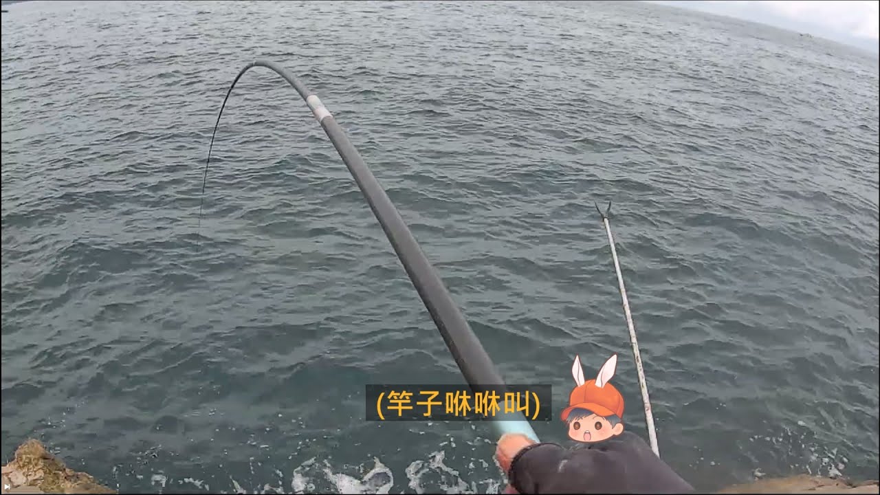 水湳洞礁岩區 釣況分享 Wild fishing in Taiwan. [嘟嘟釣魚狂#270] 2024/08/19