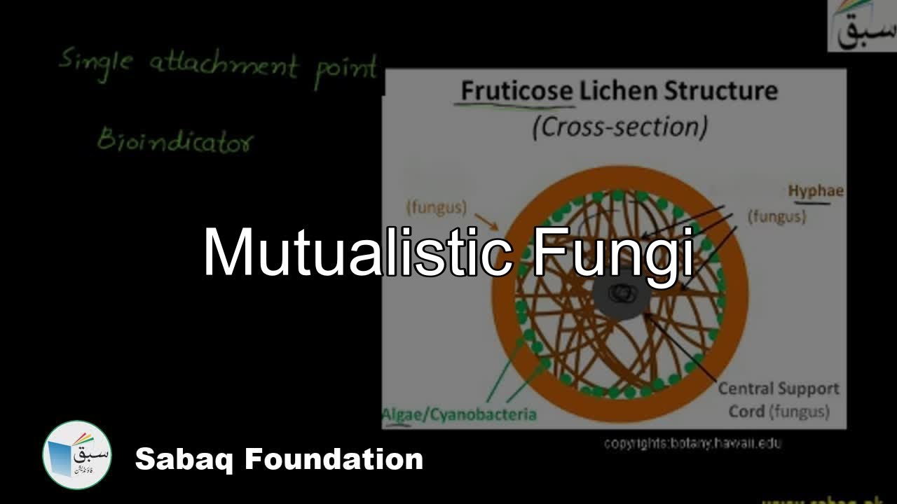 Mutualistic Fungi, Biology Lecture | Sabaq.pk