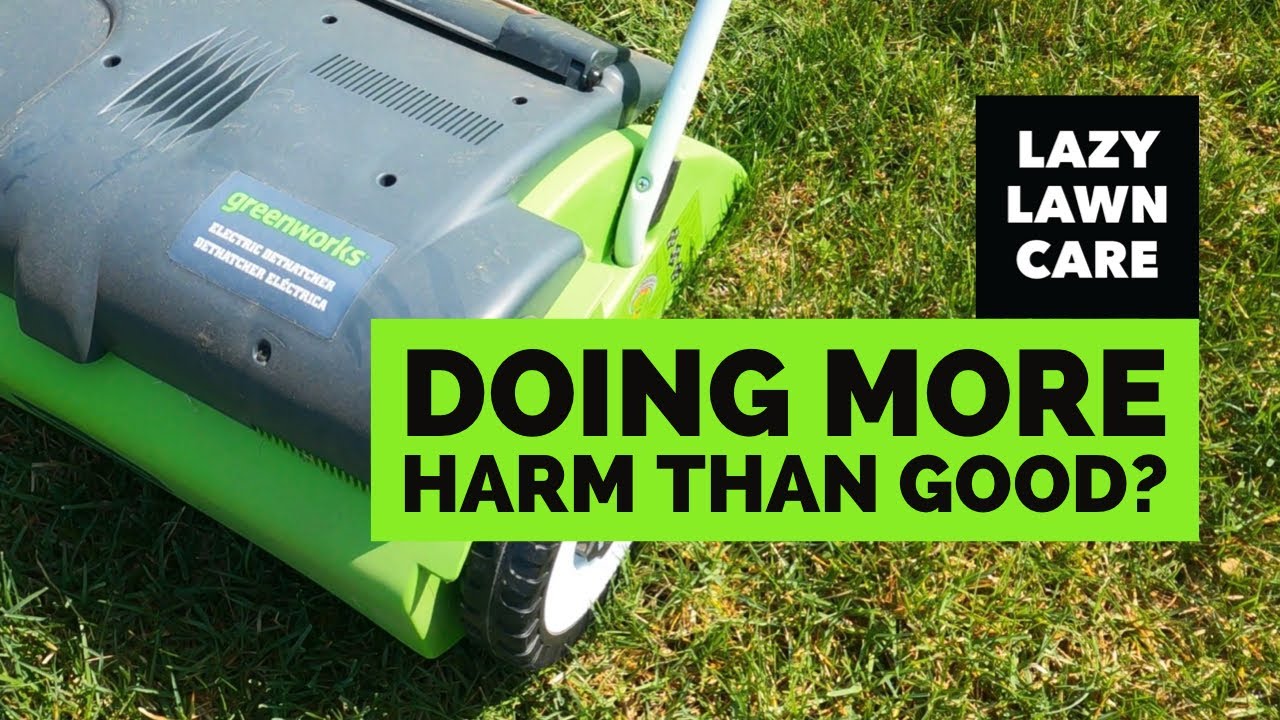 Dethatching my lawn with the new Greenworks dethatcher, at the worst possible time