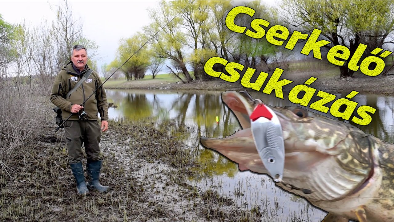 Cserkelő csukázás