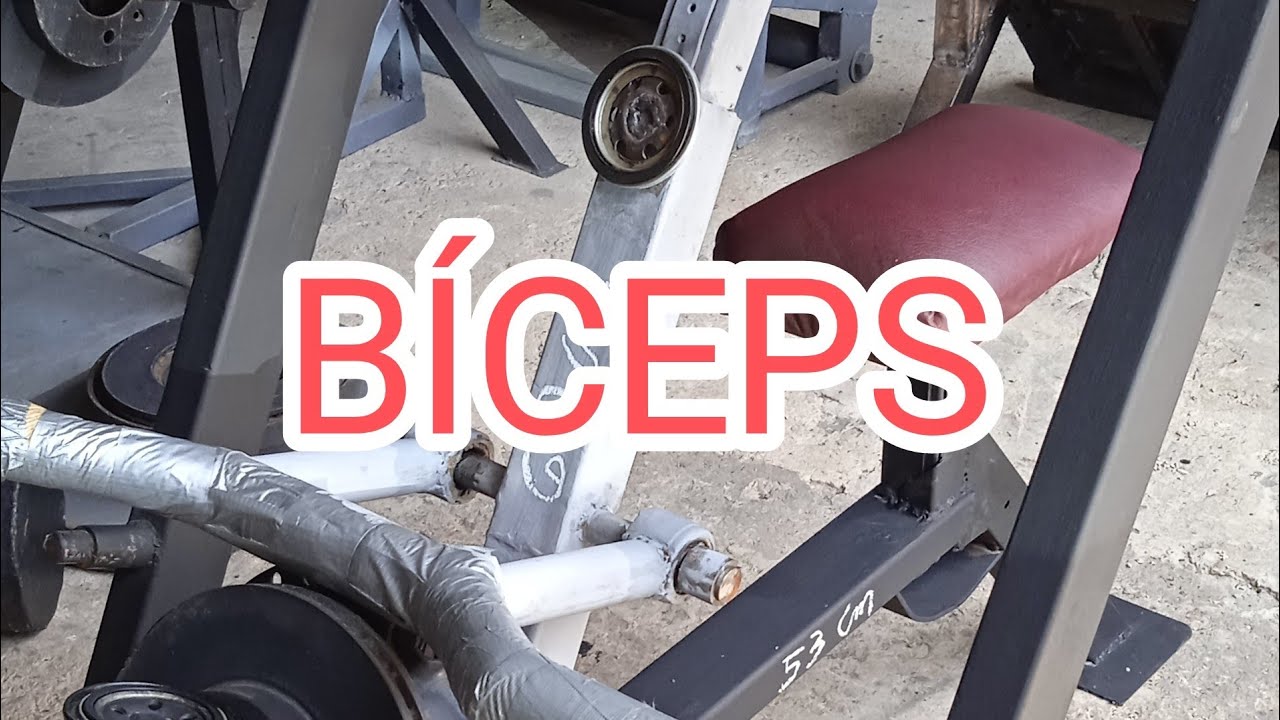 BANCO DE BÍCEPS/DETALLES