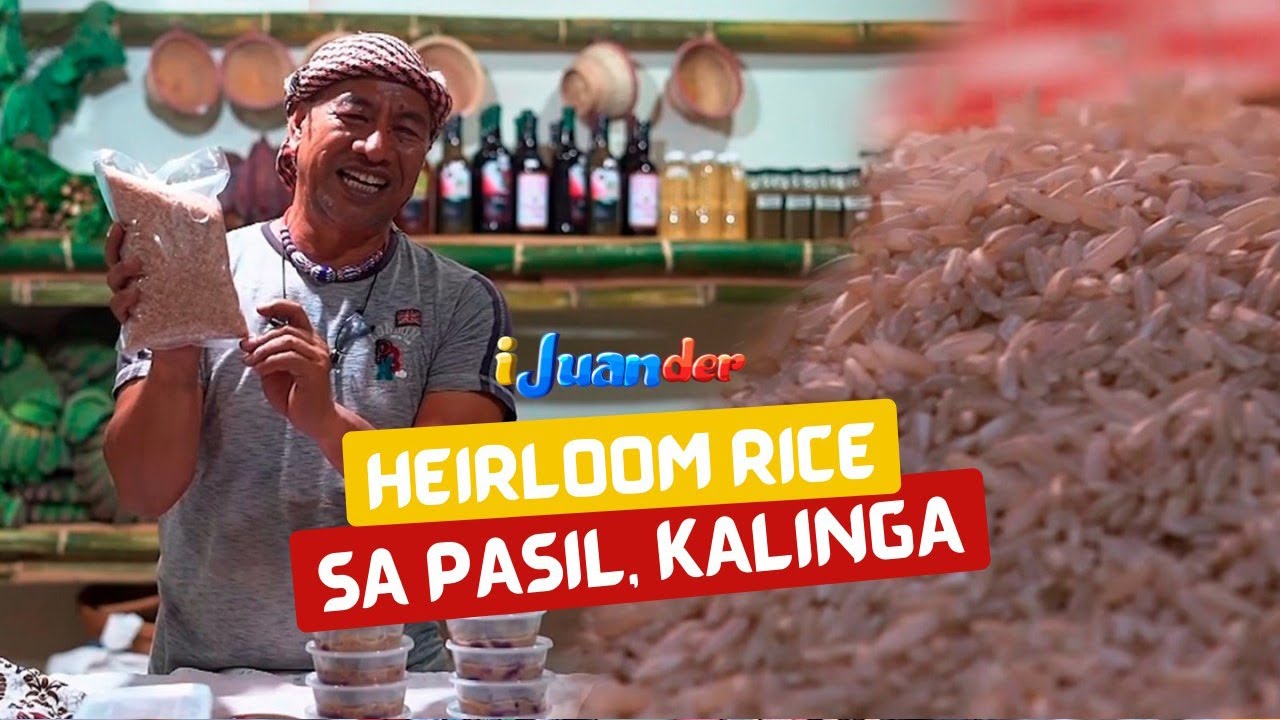 Heirloom rice sa Pasil, Kalinga | I Juander
