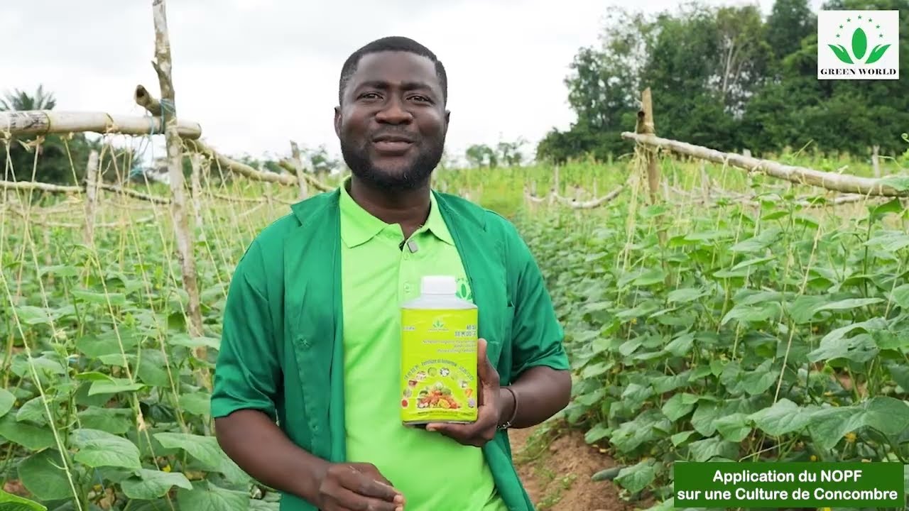 🥒 Le NutriPlant : l'engrais biologique qui transforme vos cultures – Cas du Concombre