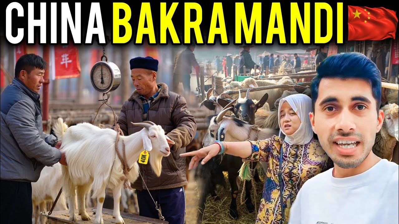 CHINESE SASTA BAKRA MANDI 2025 🇨🇳 GOAT MARKET IN CHINA