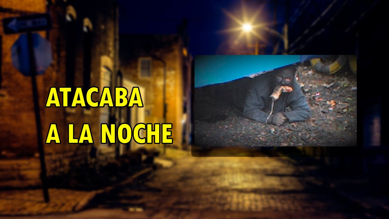 ¿Qué sucedió con EL HOMBRE GATO? / La Historia Real 39