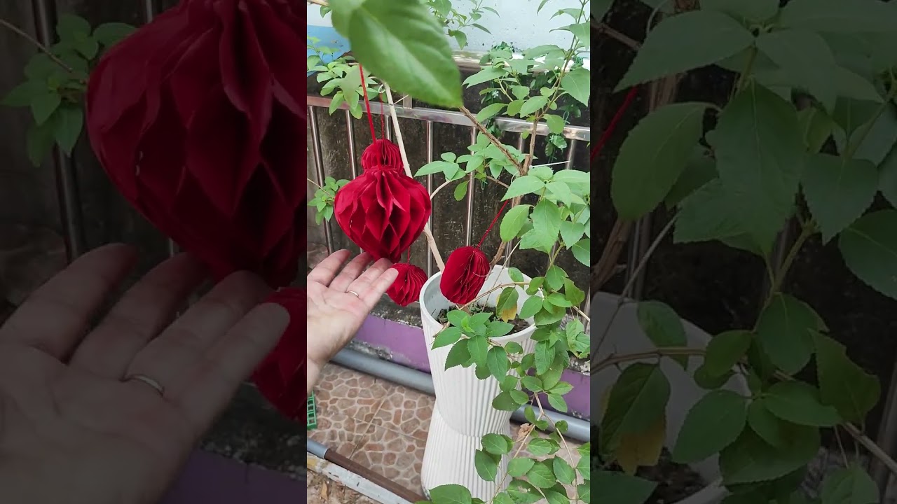 @Mùng 7 tết 2026