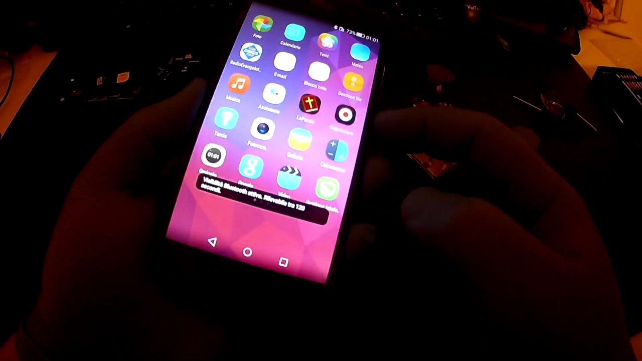 Huawei P8 Lite Sostituzione Display (ALE-L21)