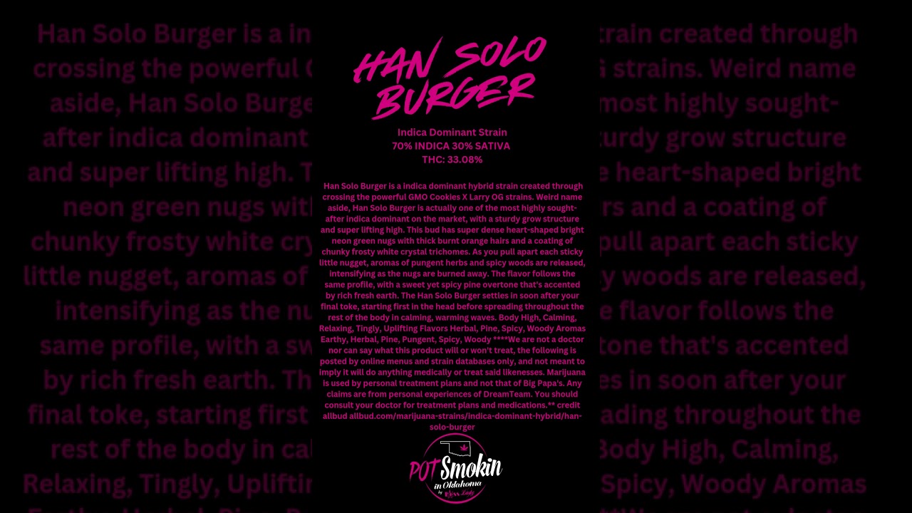 HAN SOLO BURGER
