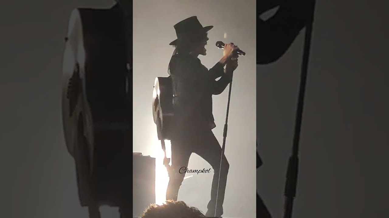 LP 