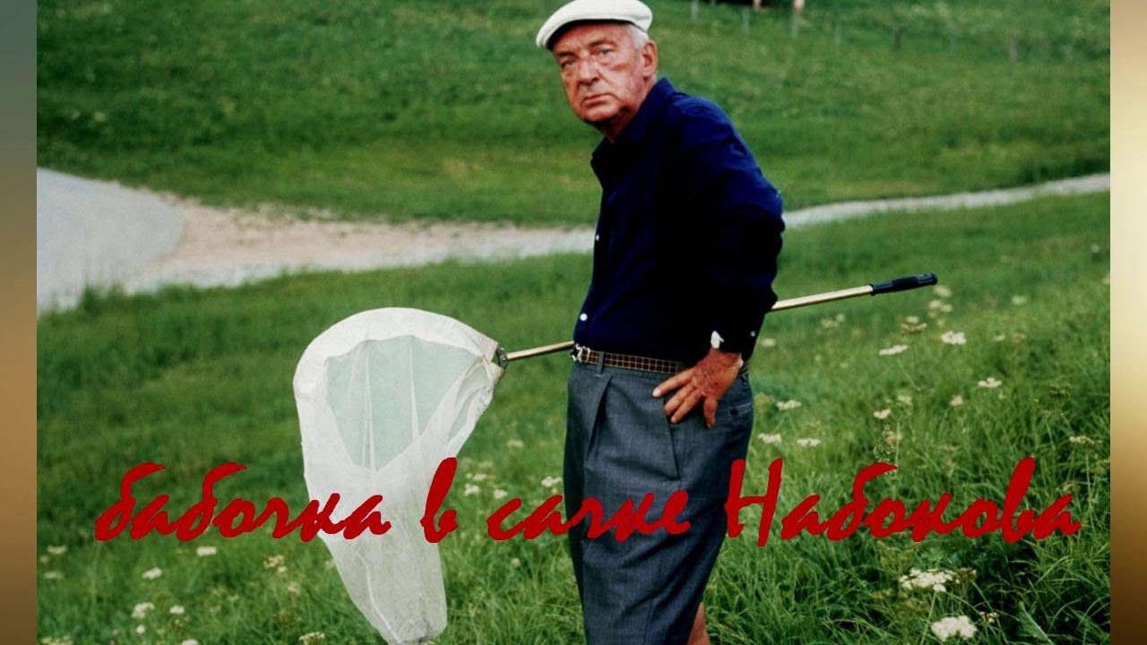 БАБОЧКА В САЧКЕ НАБОКОВА