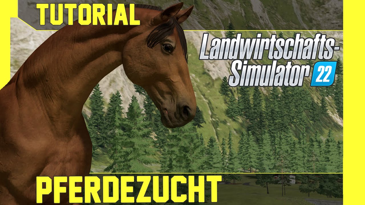 LS 22 Pferdezucht Tutorial: Kurz, einfach und verständlich erklärt