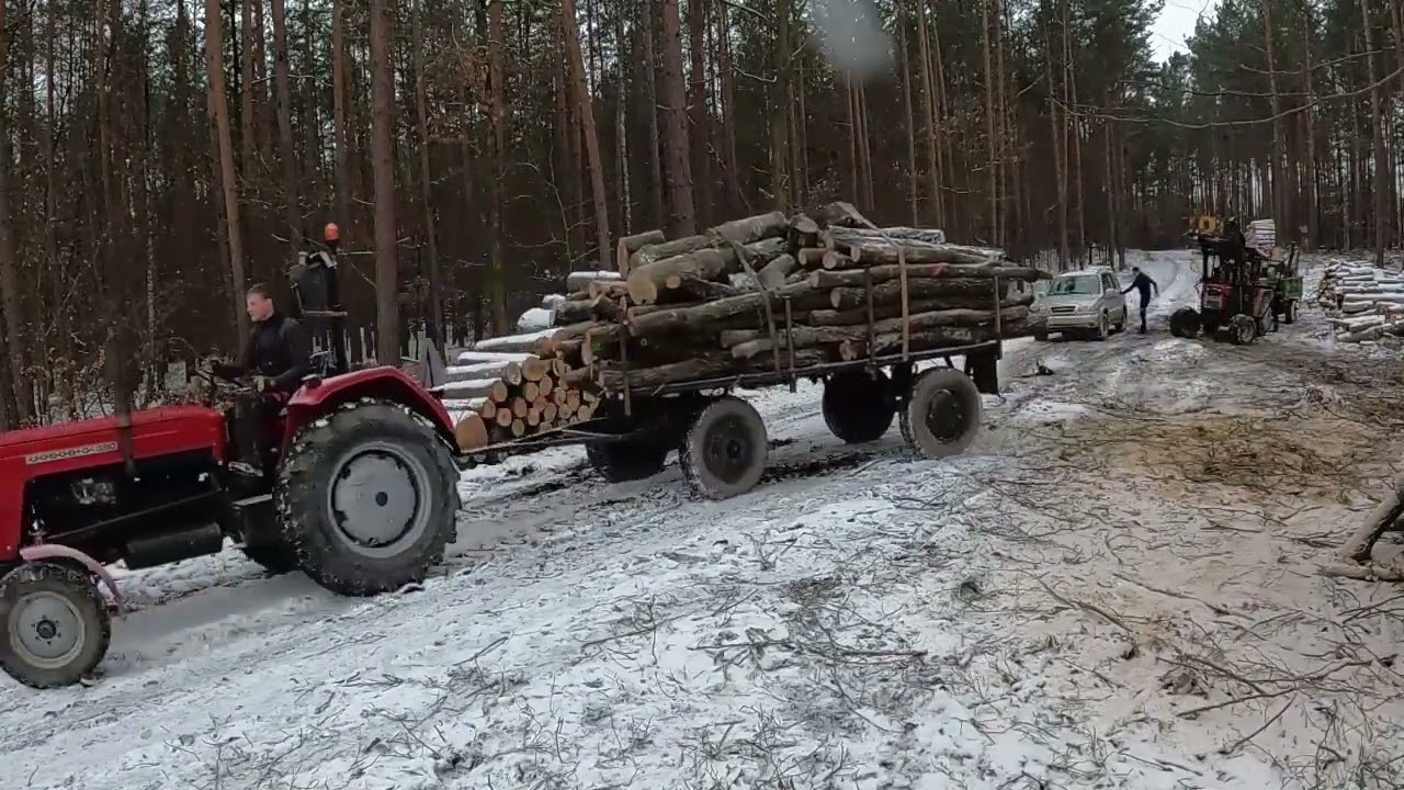 Jak najtaniej kupić drewno opałowe ?? How to buy firewood for the fireplace at the cheapest price???