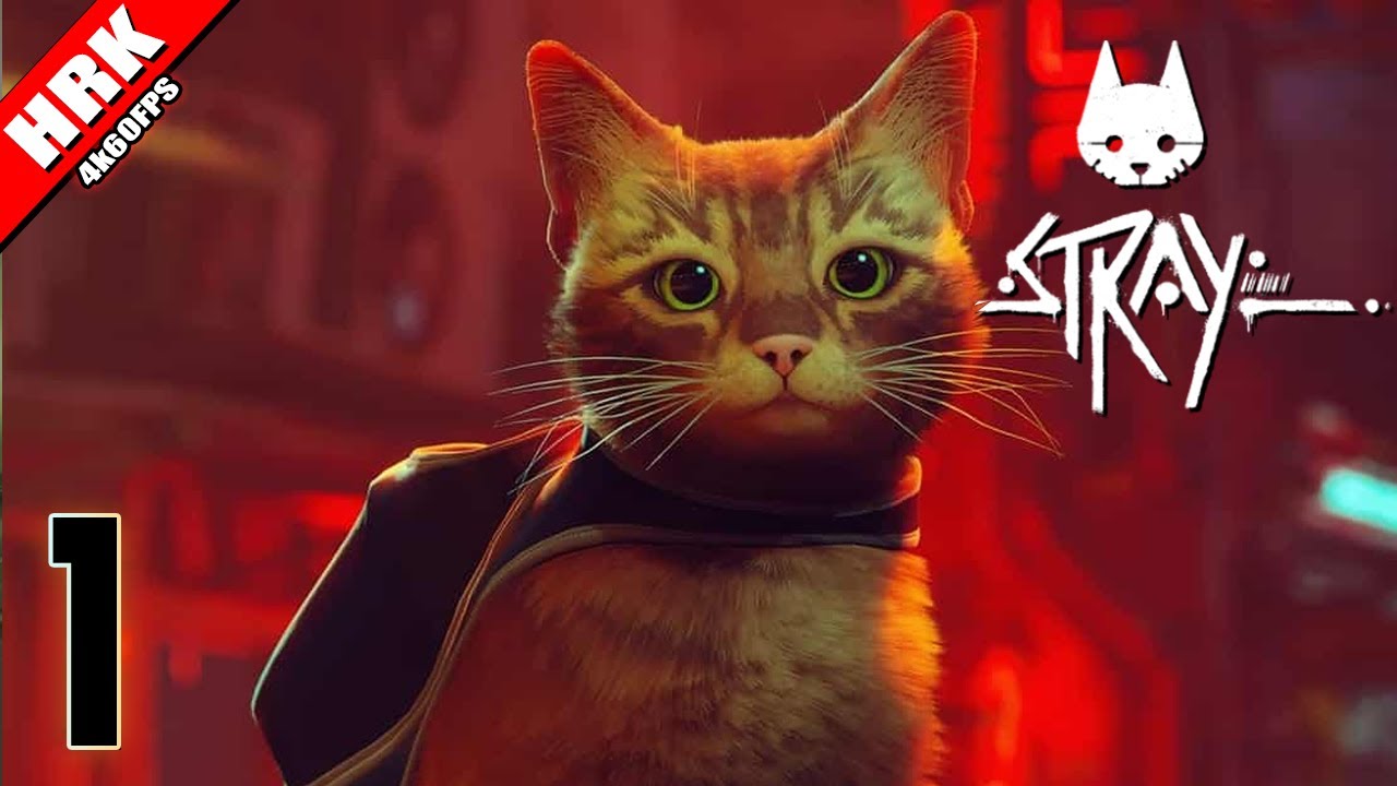 แมวหลงใส่ผงแล้วชงชา | STRAY - Part 1