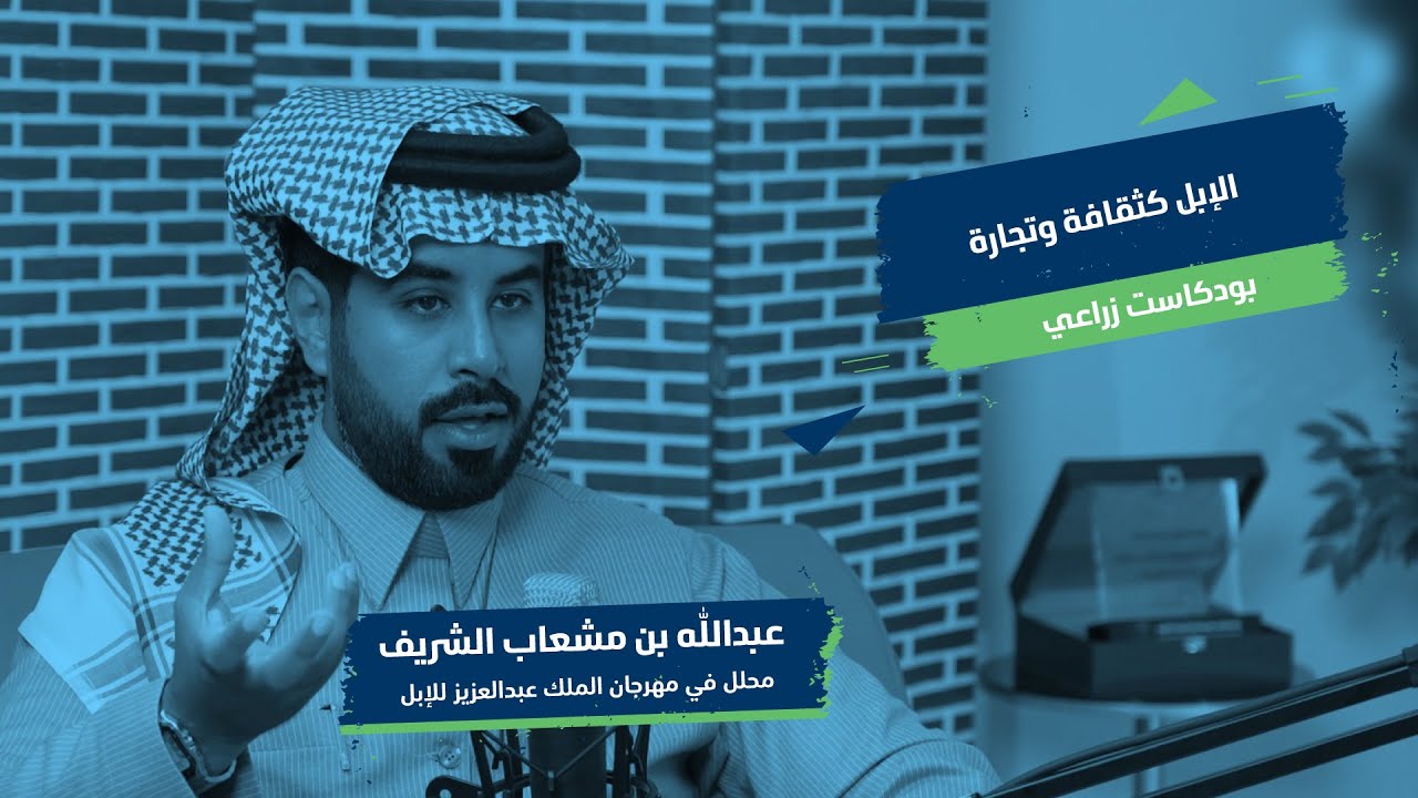 الأبل كثقافة و تجارة