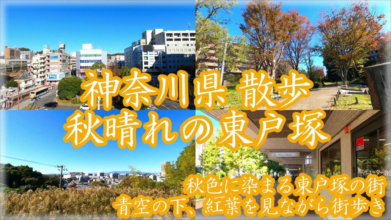 ( 4K )  神奈川県 散歩 秋晴れの横浜市 東戸塚を歩く ~ 秋色に染まった木々と東戸塚の街並み ~