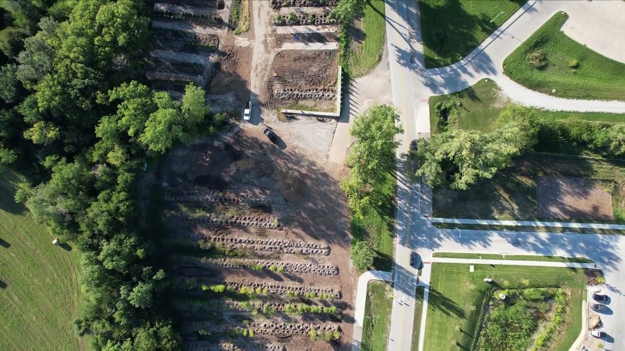 Nadir Drone Video Over Tree Farm Rows: Stunning Top-Down Aerial View of Linear Patterns