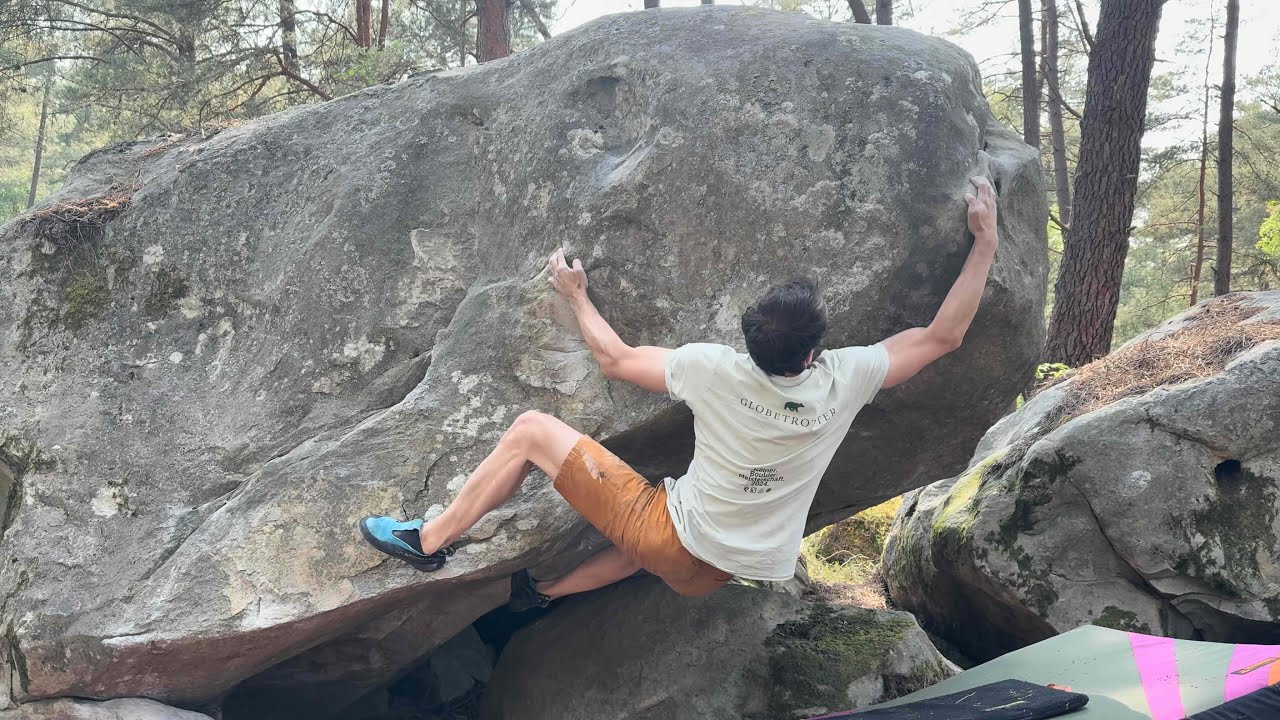 Fontainebleau Juni 2025