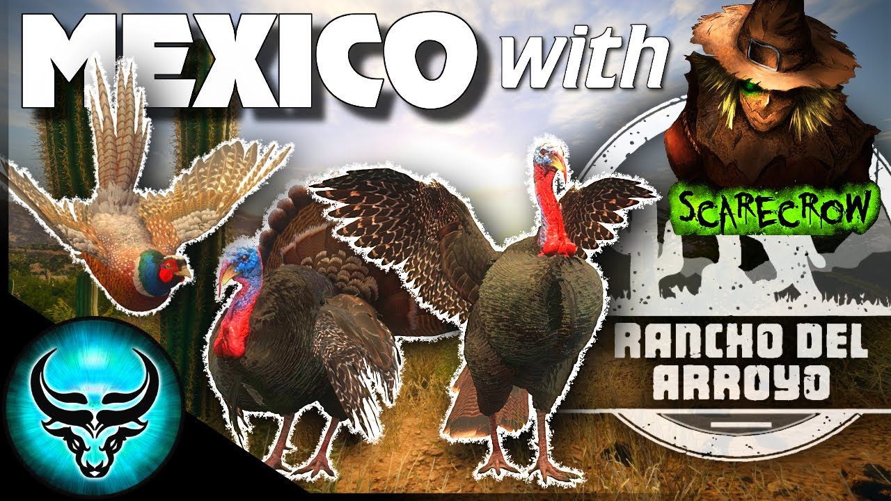 BLASTING Pheasants & Rio Grande Turkeys with Scarecrow in Rancho Del Arroyo! Call of the Wild