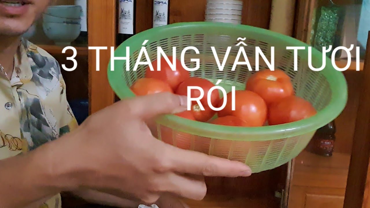 Cách bảo quản cà chua 3 tháng tươi ngon ko cần tủ lạnh Best way to store tomato without refrigerator