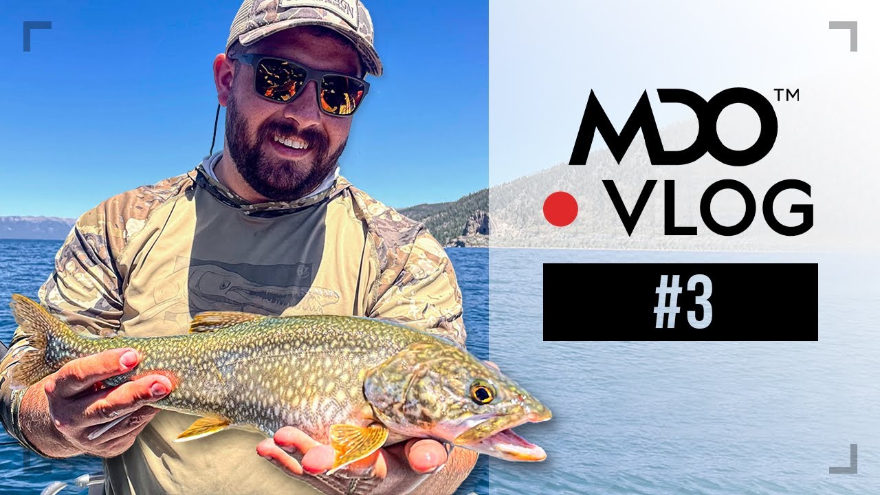 LAKE TAHOE Jigging 'Mackinaw' Lake Trout + Wild Brown Trout! - MDO Vlog #3