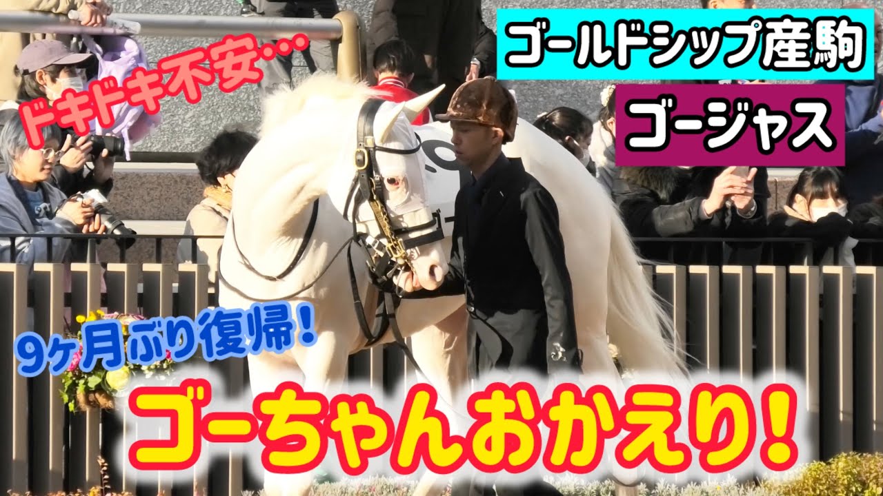 【ゴールドシップ産駒】9か月ぶりのパドックでドキドキして甘えモードMAXなゴージャス