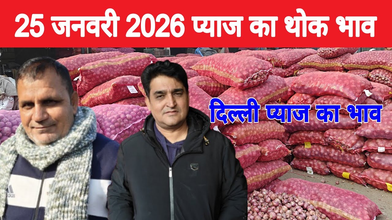 दिल्ली केशोपुर मंडी | 🧅Today onion rates | Today Onion price | Piyaj | 25 Jan 2026 #pyaj #mandiprice