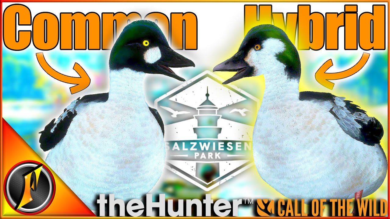 We Got ANOTHER CRAZY RARE Duck! | Hybrid Goldeneye in Call of the Wild!