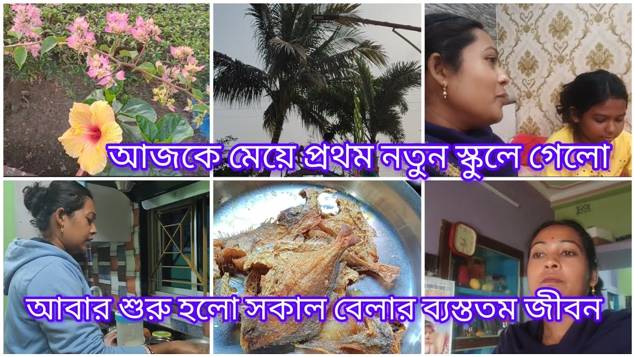 আবার শুরু হলো সকাল বেলার ব্যস্ততম জীবন 😒🙂😒।।