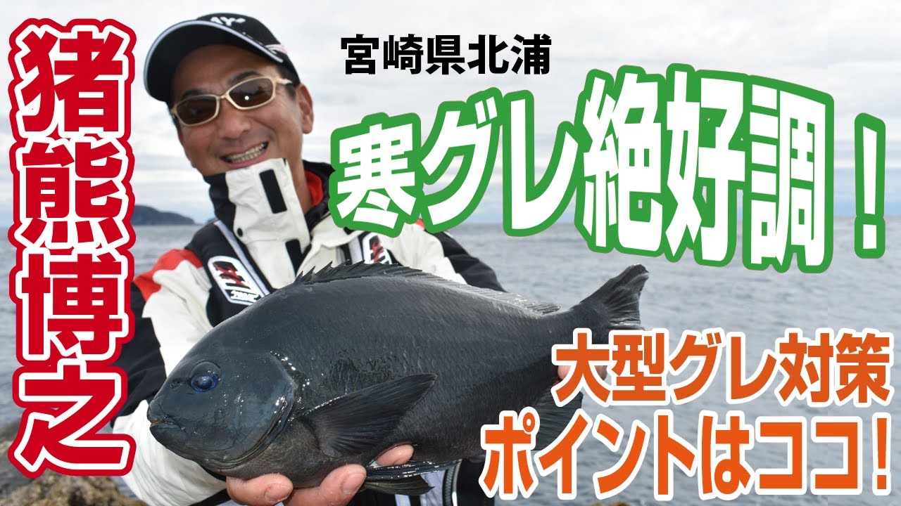 【TORAY】宮崎県北浦 型揃いの寒グレが爆釣！ 名手・猪熊博之による実釣解説！
