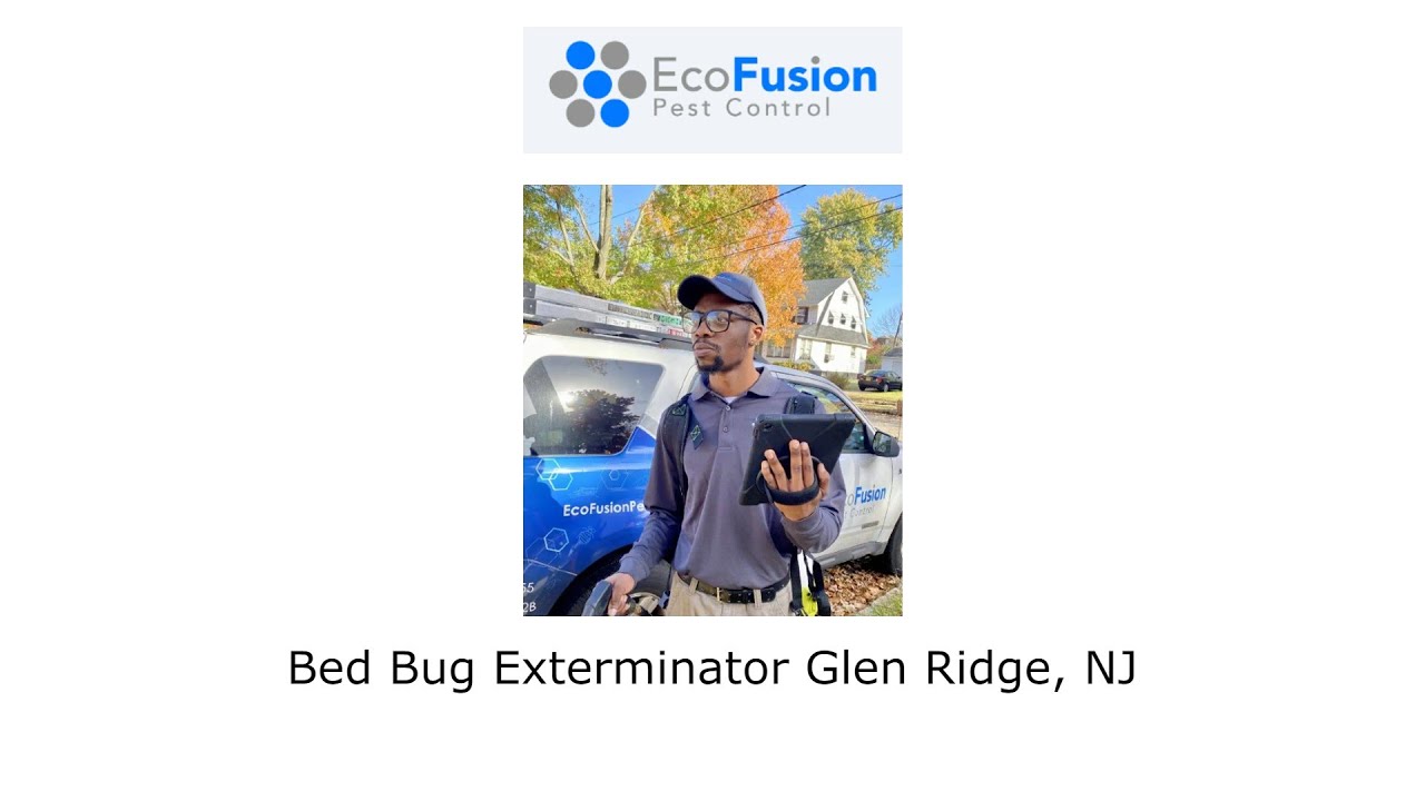 Bed Bug Exterminator Glen Ridge, NJ - EcoFusion Pest Control