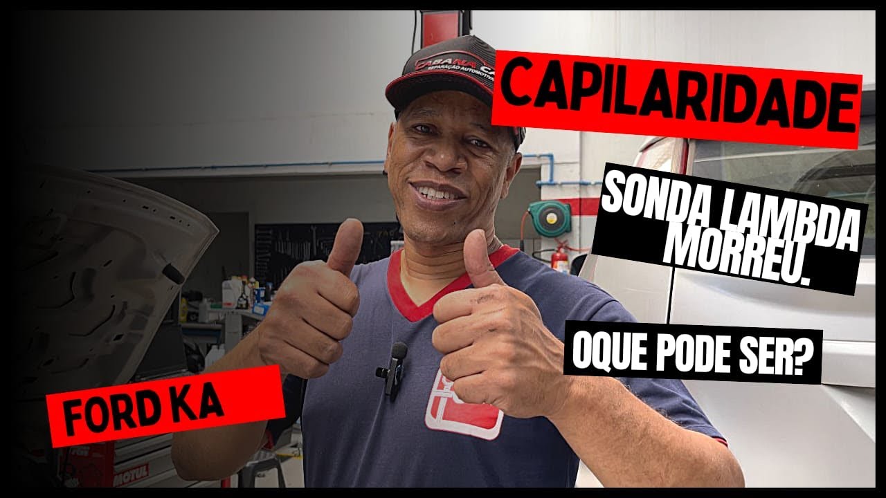 Ford Ka+ | Sonda Lambda com óleo no conector  ! Oque pode ser?