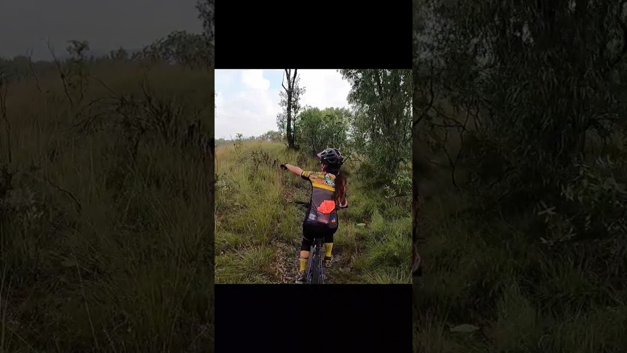El paraiso que te topas al entrenar , Bosque de la Primavera #ciclismo #cycling #shorts